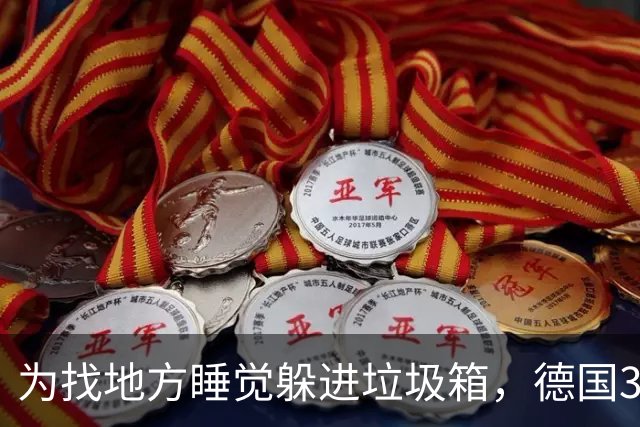 为找地方睡觉躲进垃圾箱，德国37岁流浪汉被卷入垃圾车身亡