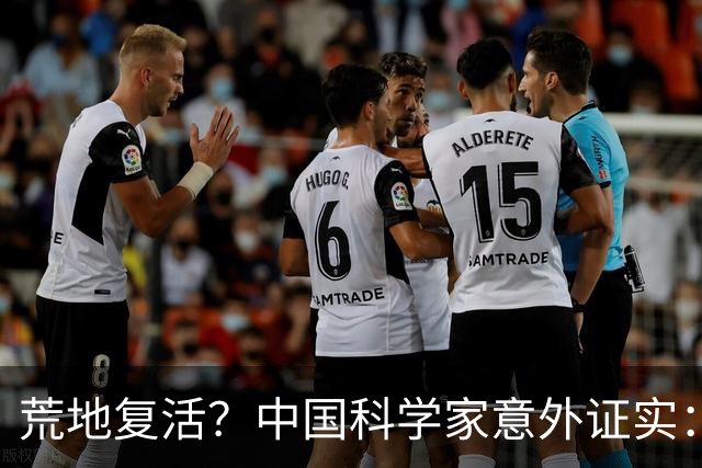 荒地复活？中国科学家意外证实：铺光伏板，竟然沙漠长出了草